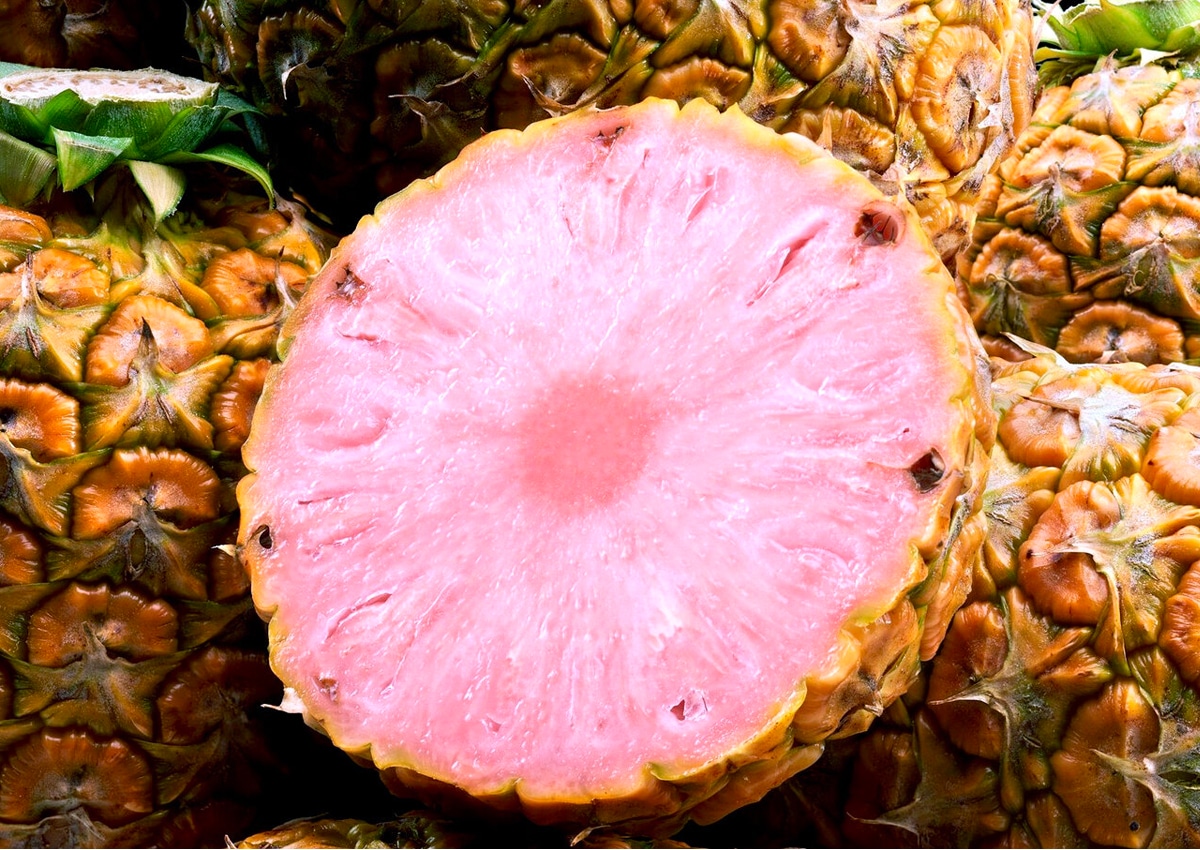 pinkglow pineapple