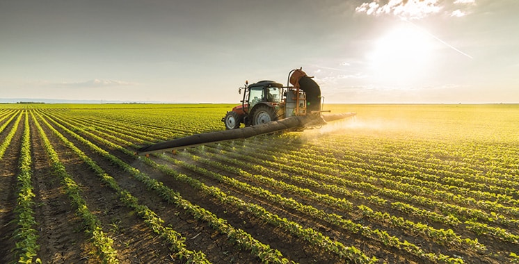 Agriculture marocaine