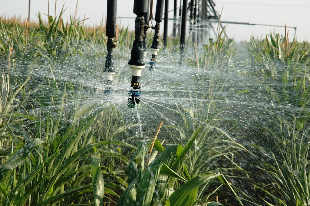 Irrigation