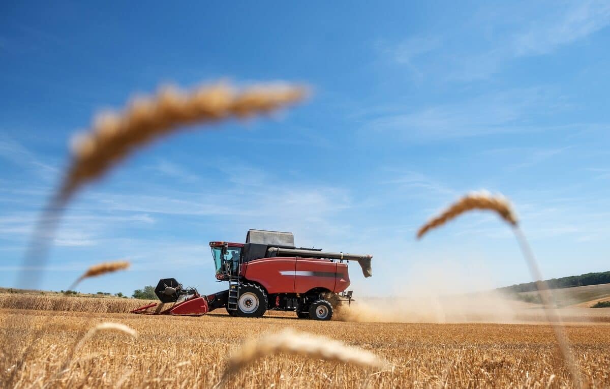 Agriculture, champ de cutlure