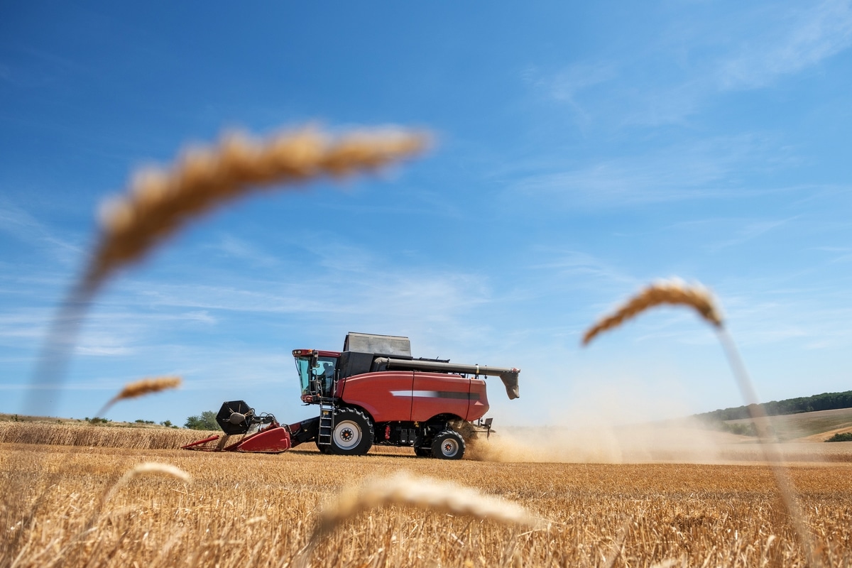 Agriculture, champ de cutlure